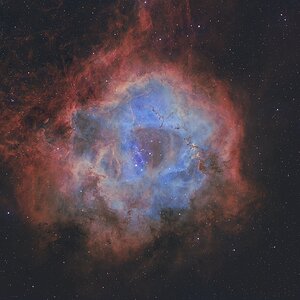 Rosette_fini_neu.jpg