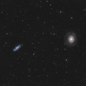 NGC 2985 und NGC 3027