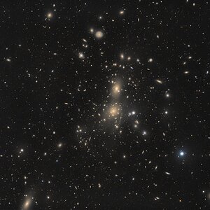 Abell 1656 – der Coma Galaxienhaufen