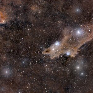 LDN 1235 - The Shark Nebual