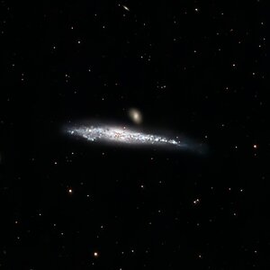 NGC4631_1920_30s_ISO_500_Antlia_SQM_19.2_Bortle_8 Kopie.jpg