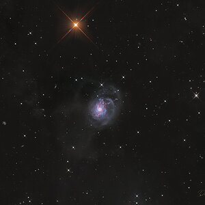 NGC 3310 (Arp 217)