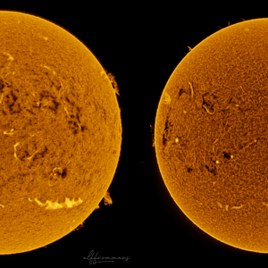 Sonne im Duett ... Acuter / Lunt