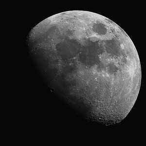 Mond