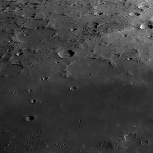 Gärtner_Sheepshanks_GDB_IRpass_178_90pr_20260523.jpg