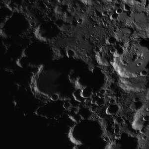 Maurolycus_GDB_IRpass_178_90pr_20260523.jpg