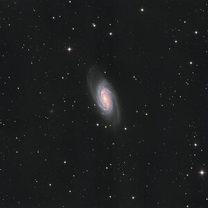 NGC 2903 - widefield - Gotthard Stuhm.jpg