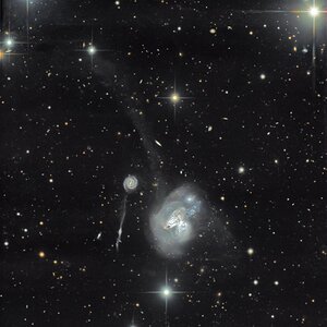 Arp 296 und Arp 299 - crop - Gotthard Stuhm.jpg