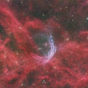 Der Blasenmacher - WR 134