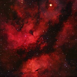 IC1318 Schmetterlingsnebel.jpg