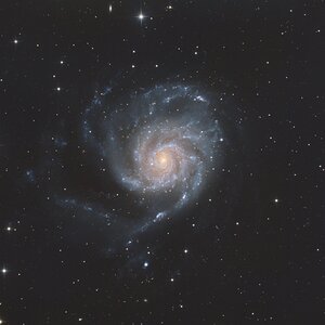 M101 Pinwheel Galaxie