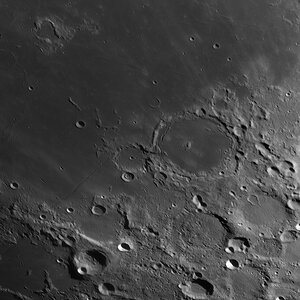 Pitatus_GDB_IRpass_178_20260526.jpg