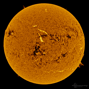 Sonne 29.05.2026