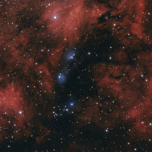 NGC 6914 - Reflexionsnebel in Cyg - 7h40 540mm - small.png