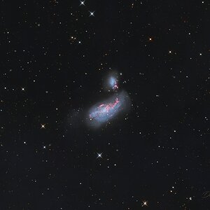 NGC 4490, die Kokon-Galaxie