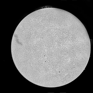Sonnenmosaik, in der Mittagspause