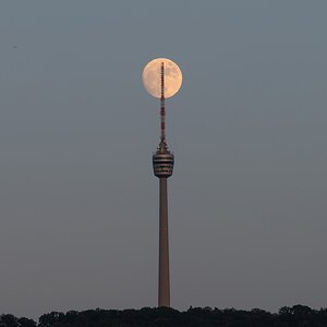 Eis am Stil