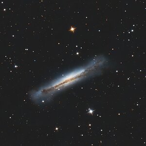 NGC 3628 Hamburger Galaxy .jpeg