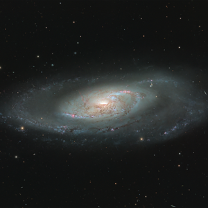 Medium 'M106' in Kategorie 'Galaxie'