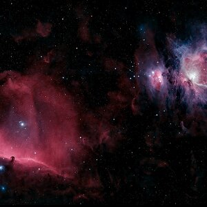 Orion