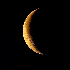 Mond