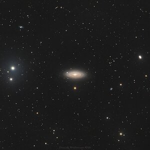 NGC2841