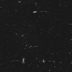 Arp 141 in der Galaxiengruppe LGG 141