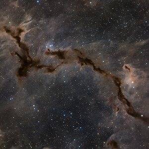 LDN1082/ Barnard150/ Seepferdchennebel