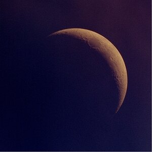 Mond