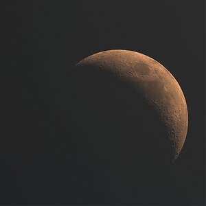 Mond