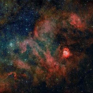 NGC6604