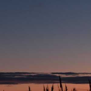 DSCF0587.JPG
