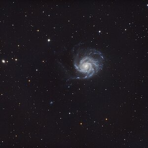 M101 und ihre Begleiter