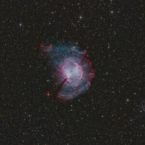 Messier 27 - Firstlight 12" F4 Newton