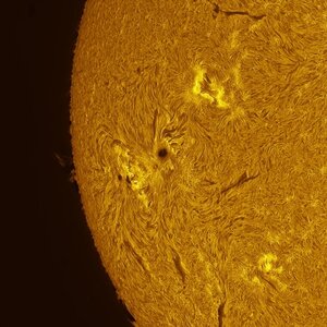 Sonne Ha 26.06.2026