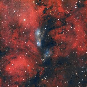 NGC 6914 Test mit Syqon Parallax und Starless