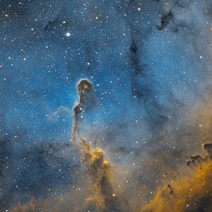 IC 1396a, der Elefantenrüssel