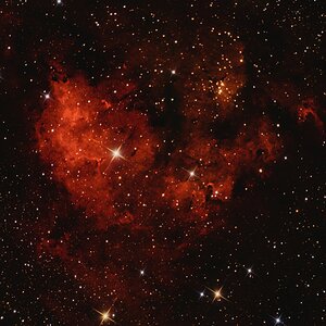 NGC 7822-c.jpg