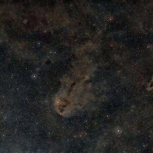 LDN1235 & LDN 1251 im Cepheus.jpg
