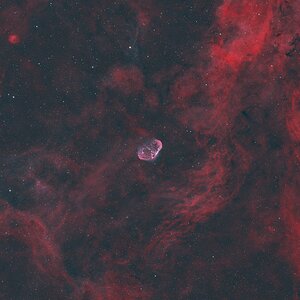 NGC 6888 - Sichelnebel und drum rum