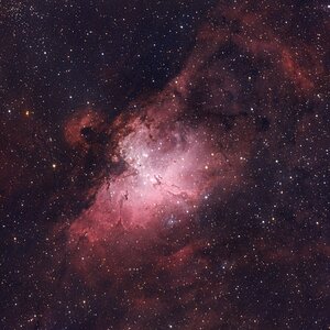 M16 Adler Nebel