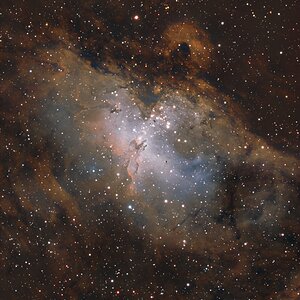 M16 Adlernebel