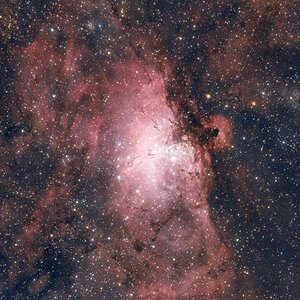 M16 Adlernebel