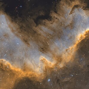 NC7000 - Cygnus Wand in Faux- SHO