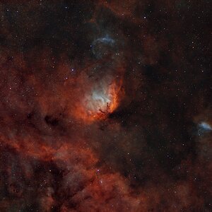 sh2_101, Tulpen Nebel