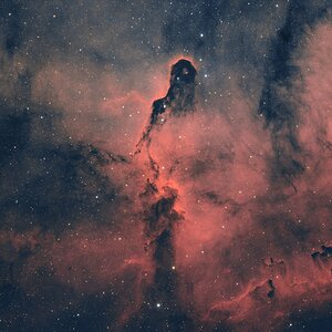 Elefantenrüsselnebel IC 1396A