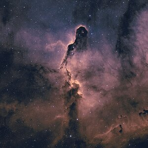 Elefantenrüsselnebel IC 1396A HSO Palette