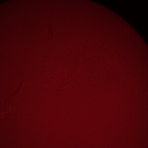 IMG_0010.jpeg