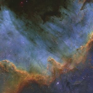 Cygnus-Wand in SHO