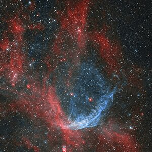 NGC6883